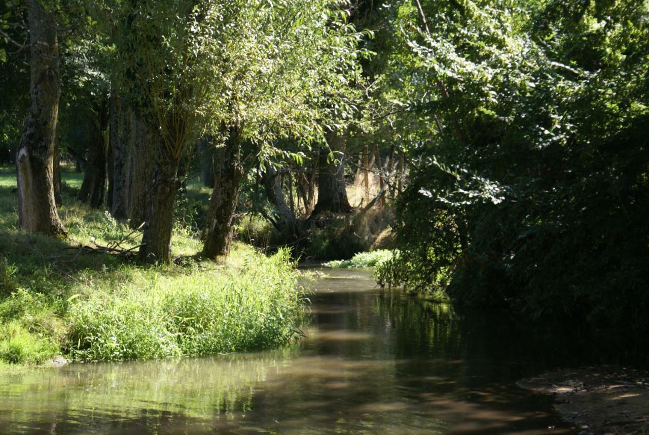 Moulin De Champrond -Montmirail -Sarthe Bed & Breakfast Luaran gambar
